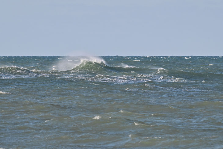 site9849vague embrums