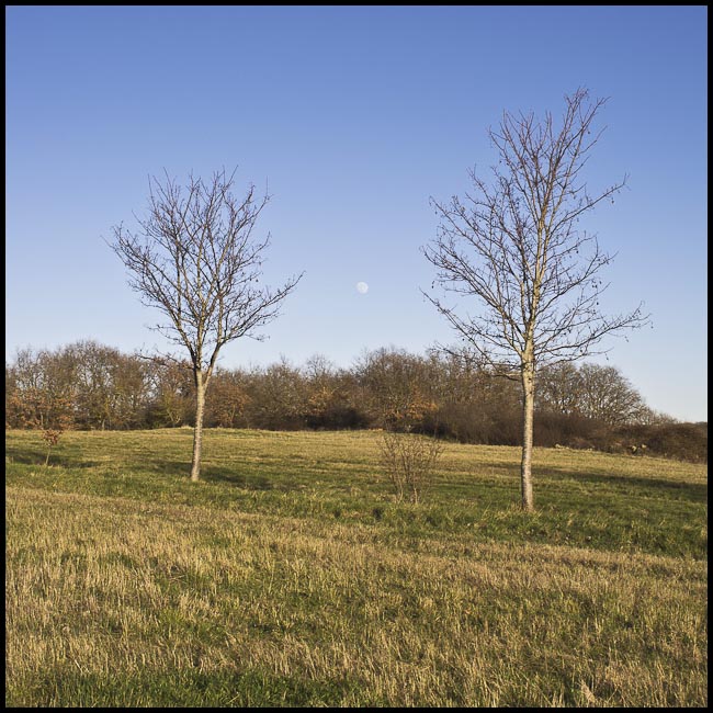 embut lune site8716