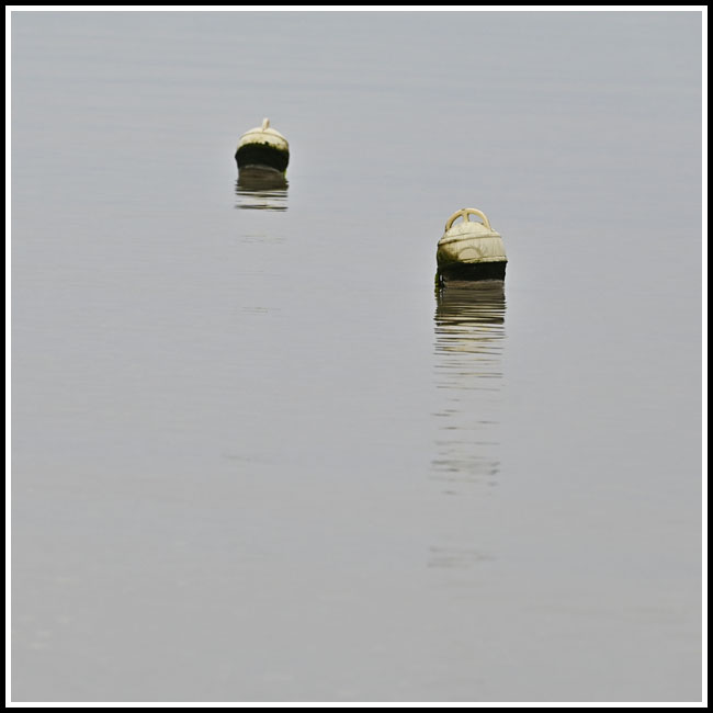 corpsmorts.site7504