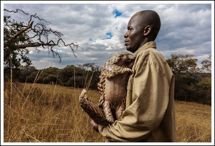 Brent Stirton