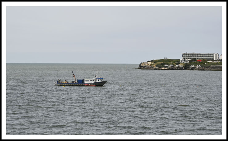 site4891