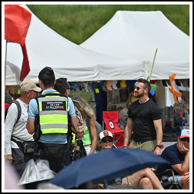 10888polaespsite