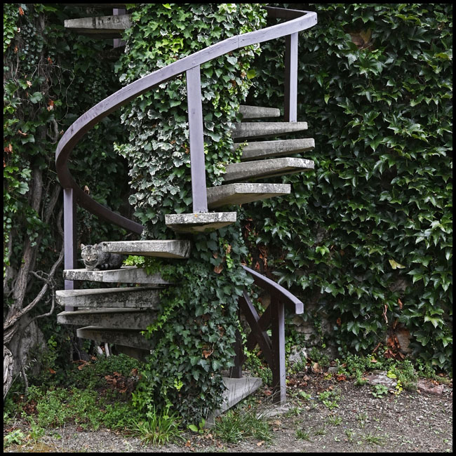 site9346escalier chat