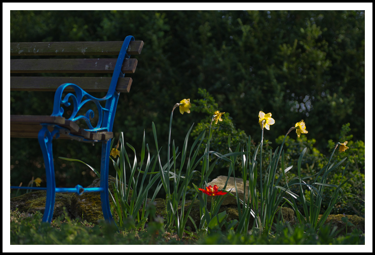 banc_bleu_site5909