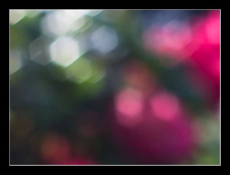 bokeh_site7876