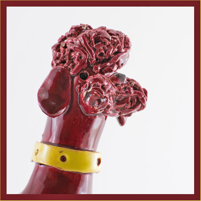 caniche_portrait1_site5977