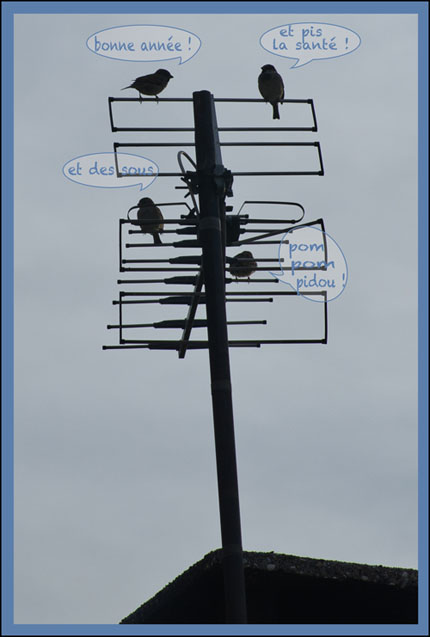 carte_site4746