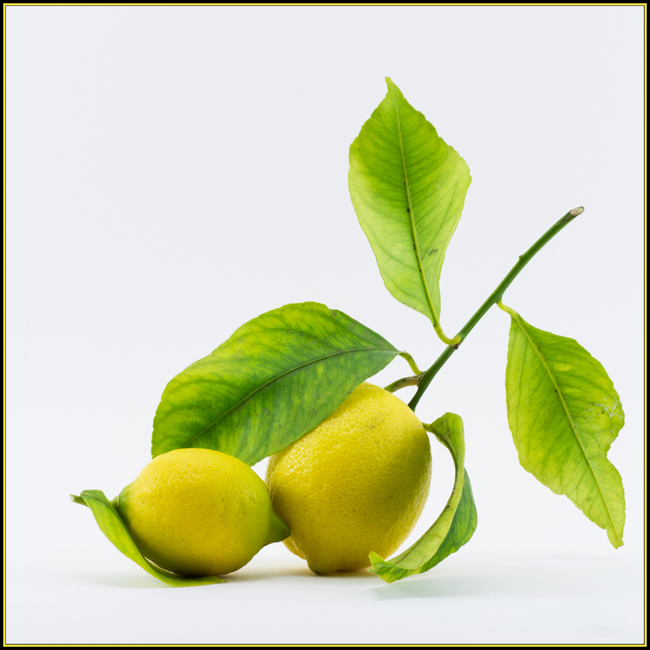 citrons-cadre_site5449