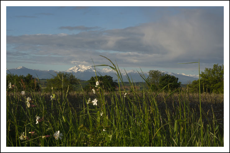 pyr herbes site12835