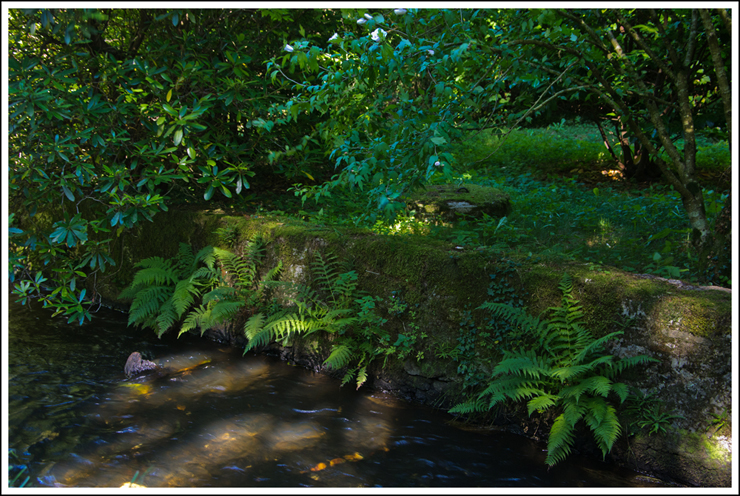 rigole_fougeres2123