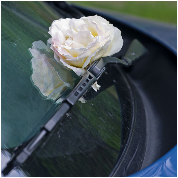 rose_capot_site7446