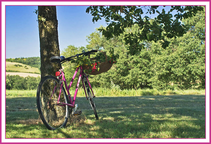 vtc_panier_prunelles_site8153