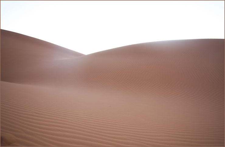desert D.Mellouhi site6115
