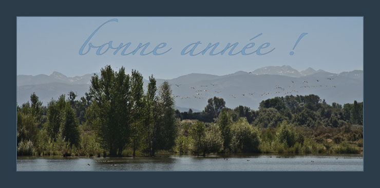 bonan site20143927
